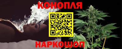 амф Новозыбков