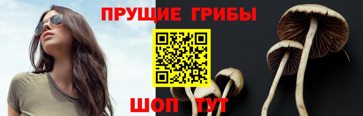 Спасск-Дальний  даркнет сайт  Вход с VPN  Галлюциногенные грибы MAGIC MUSHROOMS 